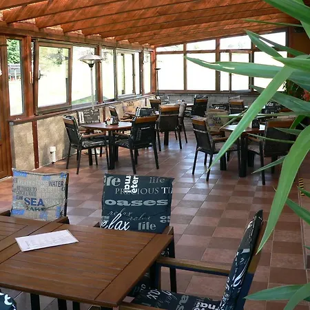 Restaurace U Svabku Pensjonat 3*