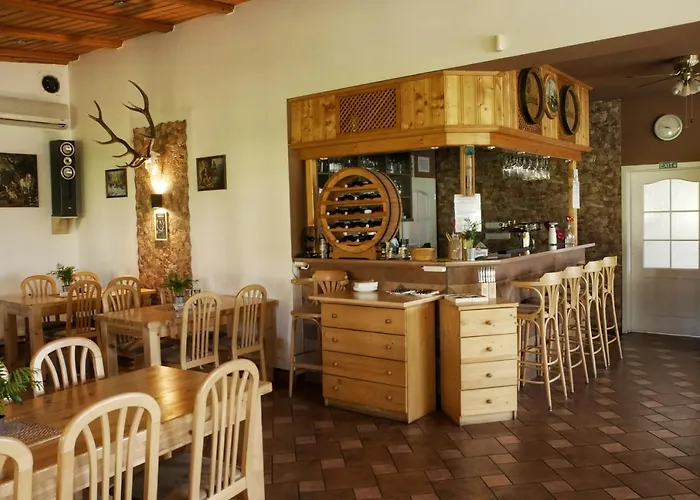 Restaurace U švábků 3* Tachov (Plzen)