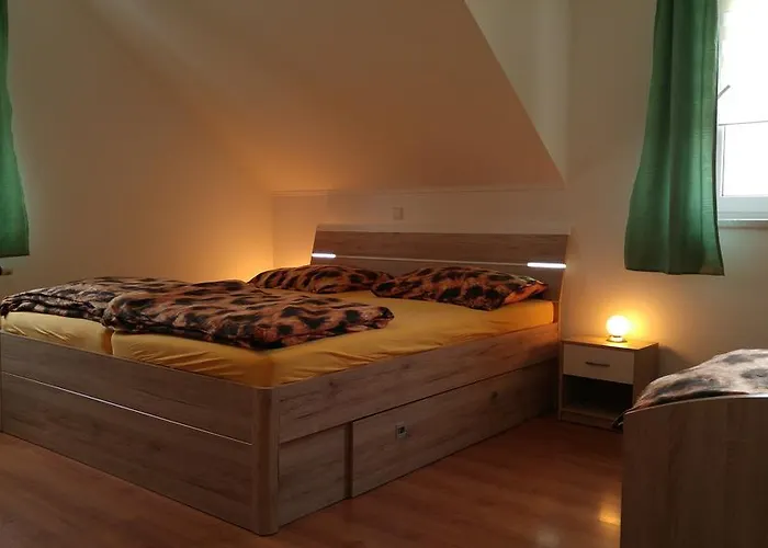 Restaurace U švábků 3* Tachov (Plzen)
